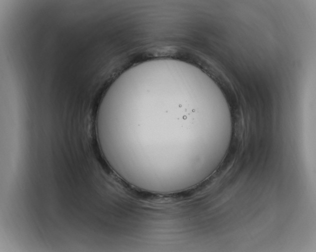 X0000111530604200907141258