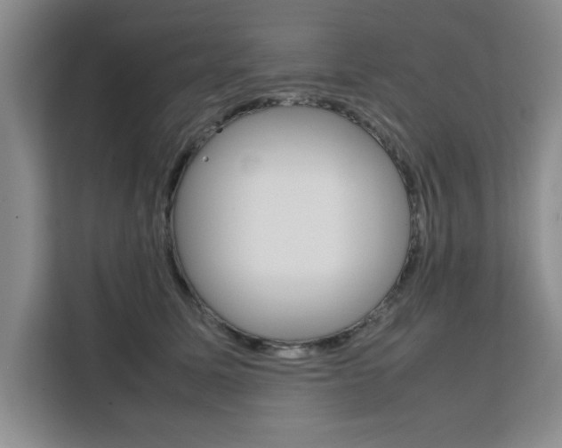 X0000111530611200907141258