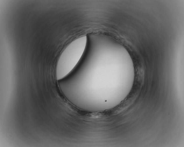 X0000111530612200907141258