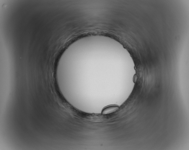 X0000111530615200907141258