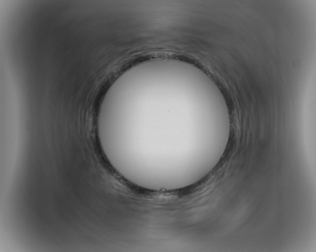 X0000111530619200907141258
