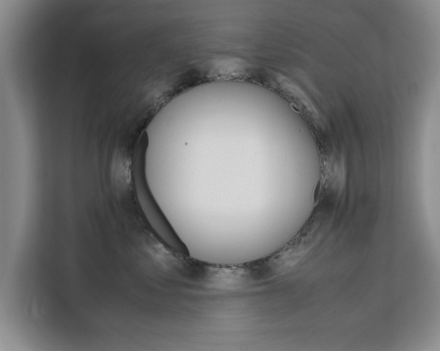 X0000111530621200907141258