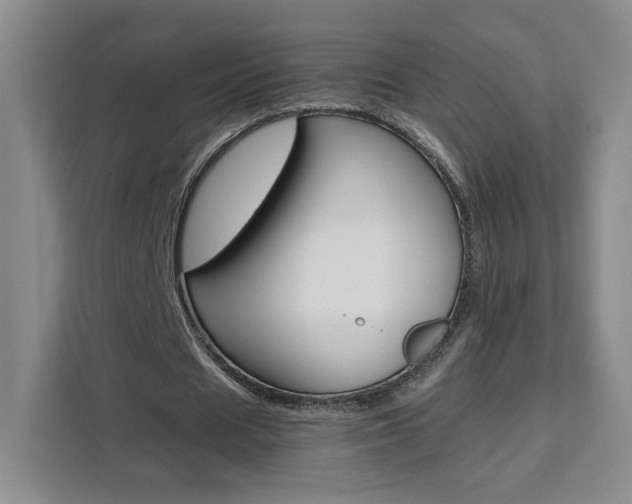 X0000111530625200907141257