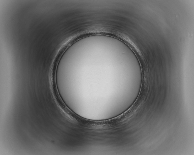 X0000111530629200907141257