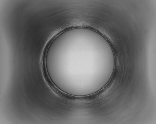 X0000111530630200907141257