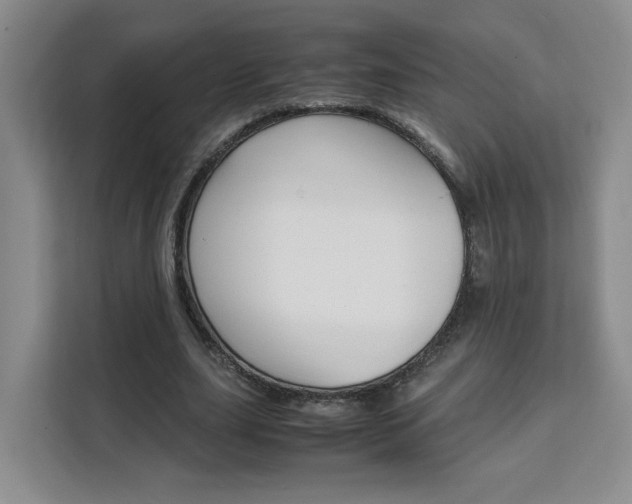X0000111530631200907141257
