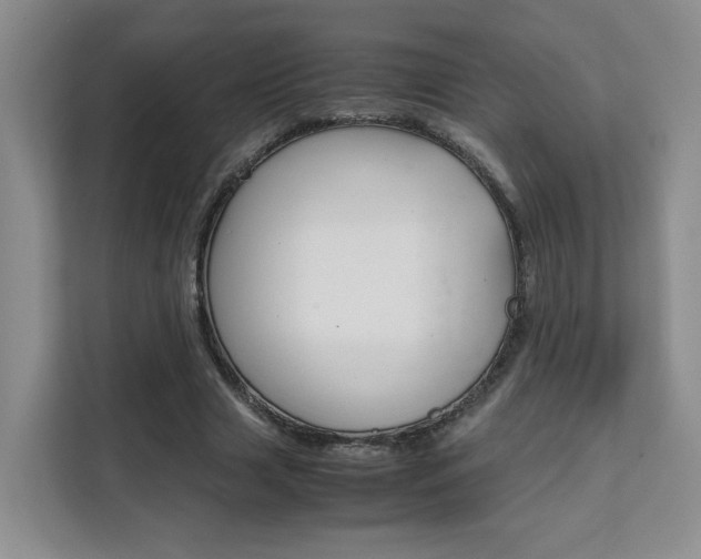 X0000111530633200907141257