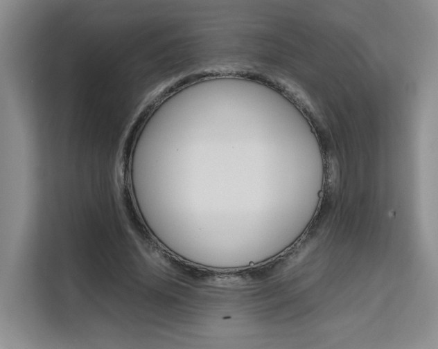 X0000111530636200907141257
