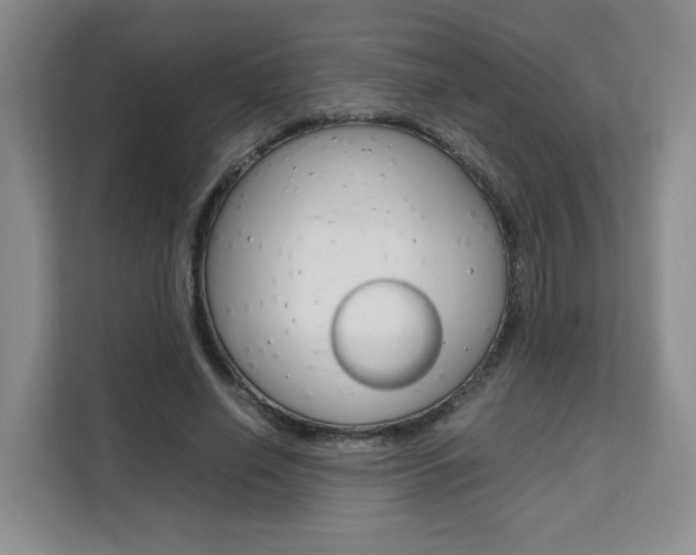 X0000111530638200907141257