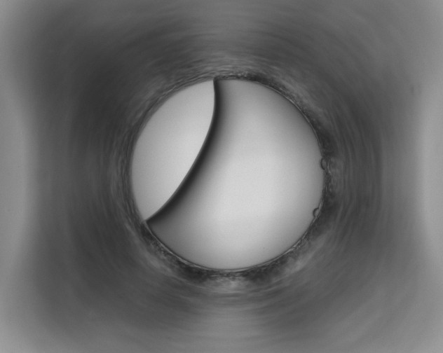 X0000111530642200907141257