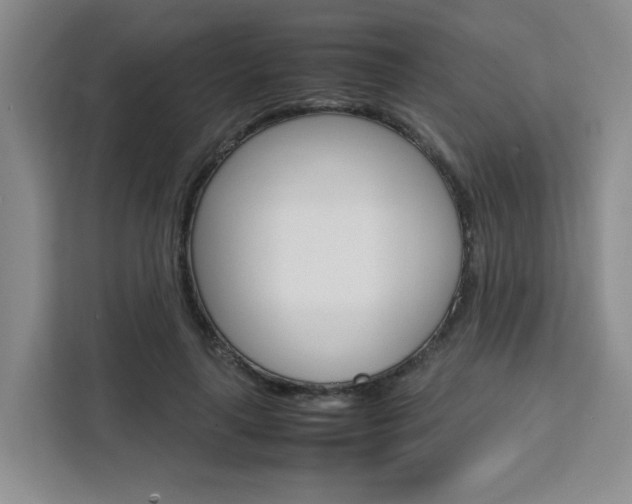 X0000111530643200907141257