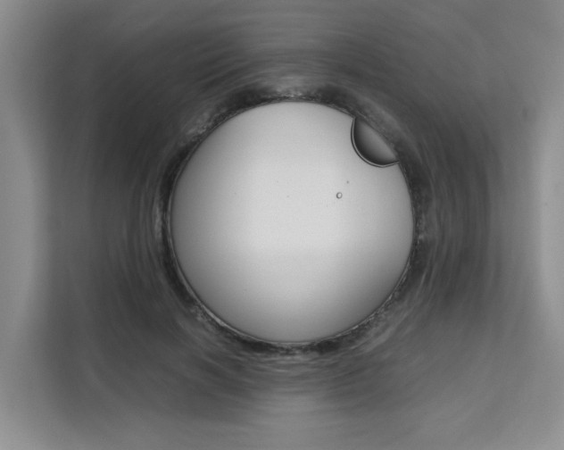 X0000111530646200907141257