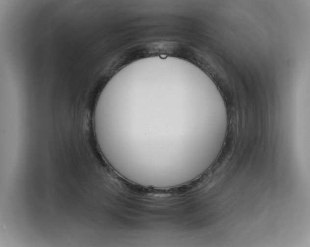 X0000111530649200907141257