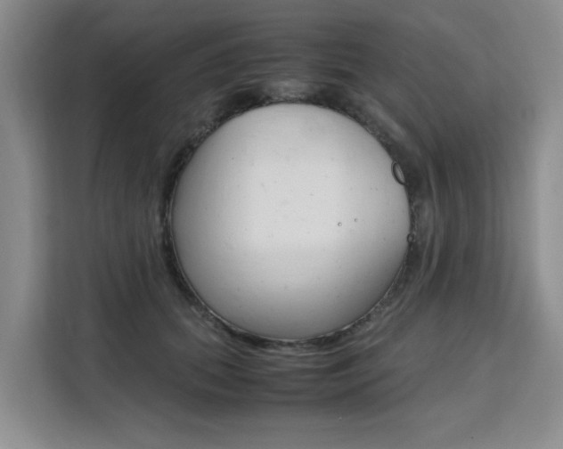 X0000111530655200907141257