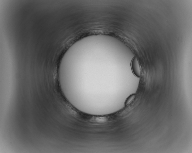 X0000111530665200907141258