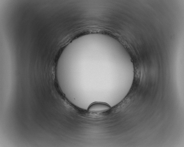 X0000111530666200907141258