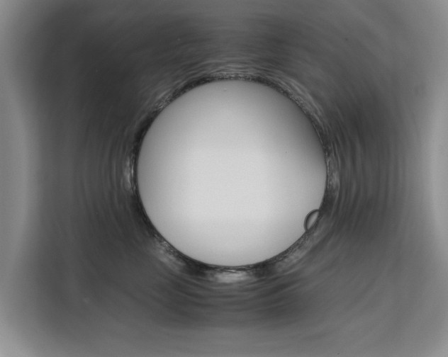 X0000111530669200907141258