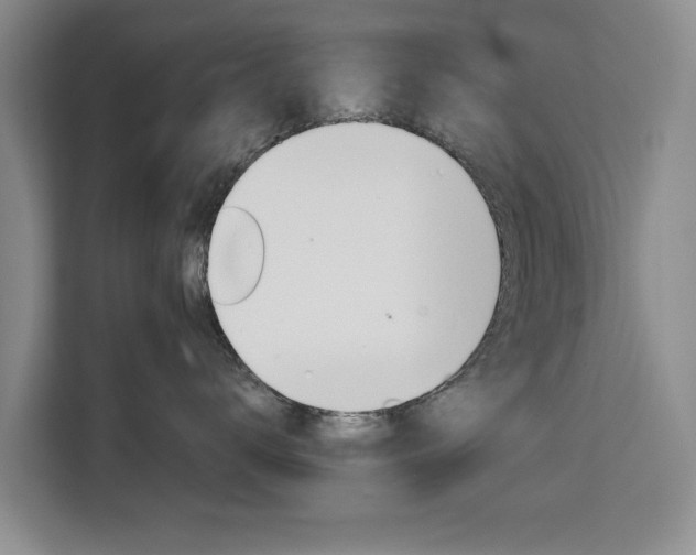 X0000111530672200907141258