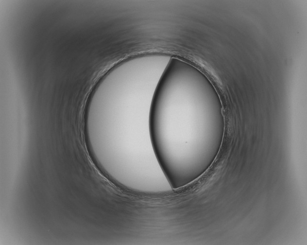 X0000111530673200907141257