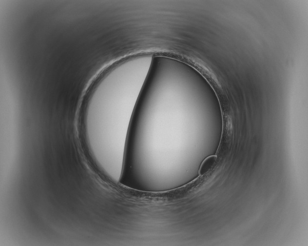 X0000111530676200907141257
