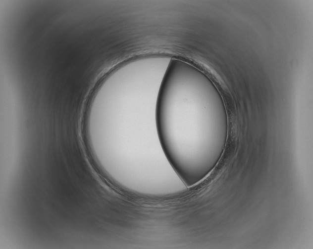 X0000111530677200907141257
