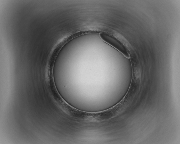 X0000111530680200907141257