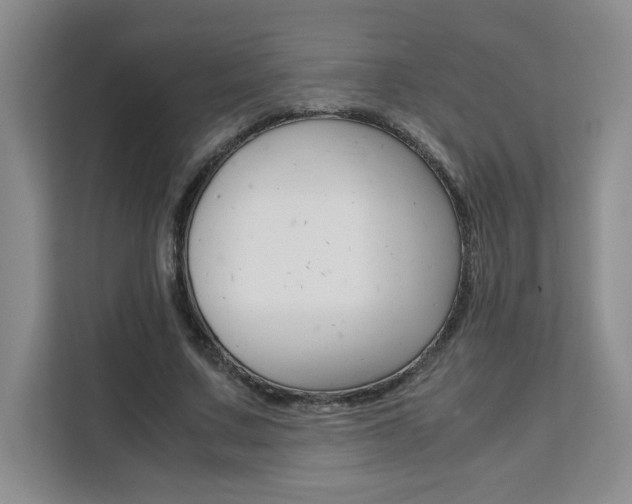 X0000111530683200907141257