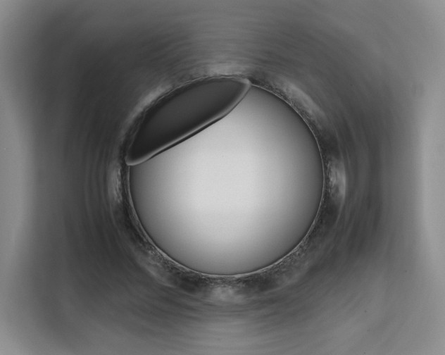 X0000111530684200907141257