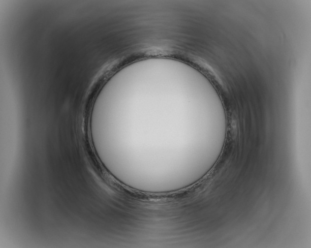 X0000111530686200907141257