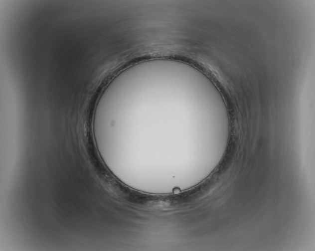 X0000111530687200907141257