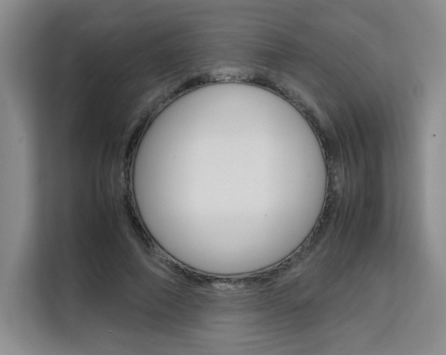X0000111530690200907141257