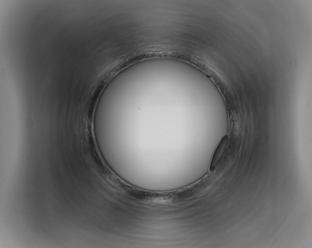 X0000111530692200907141257