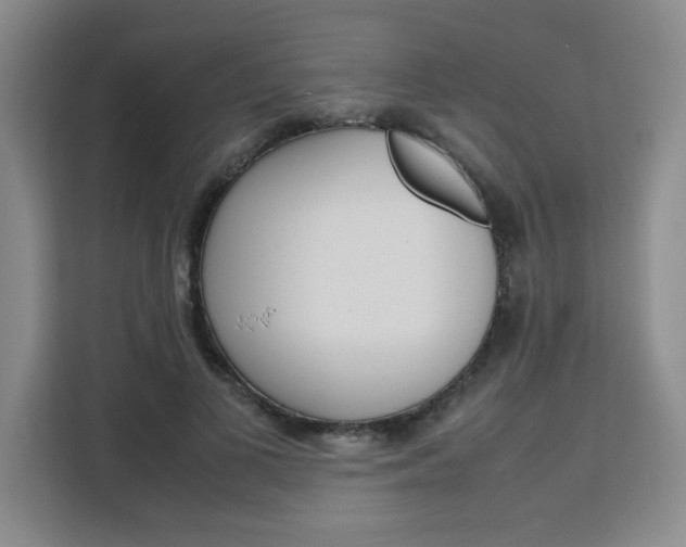 X0000111530693200907141257
