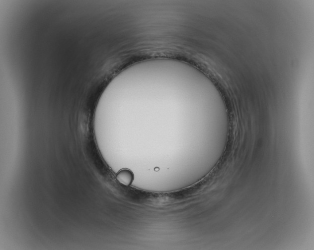 X0000111530695200907141257