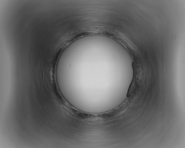 X0000111530696200907141257