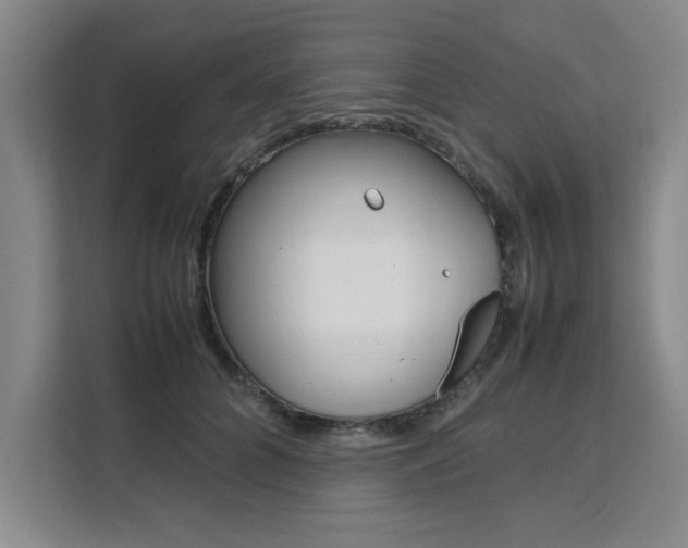 X0000111530704200907141257