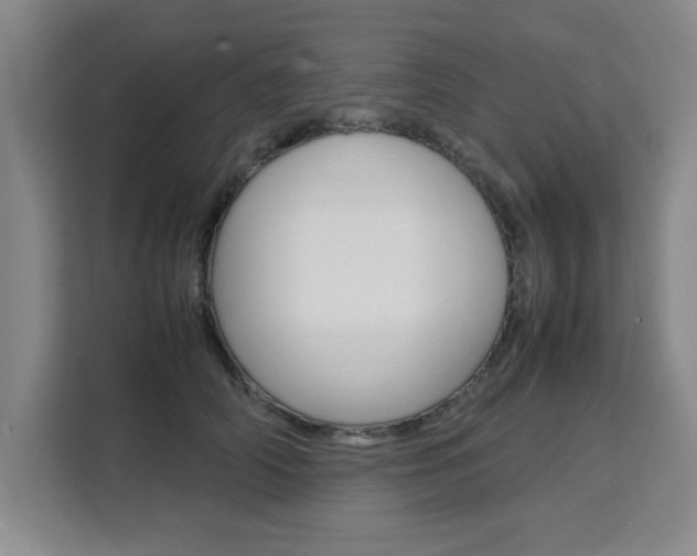 X0000111530706200907141257