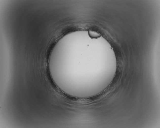 X0000111530707200907141257