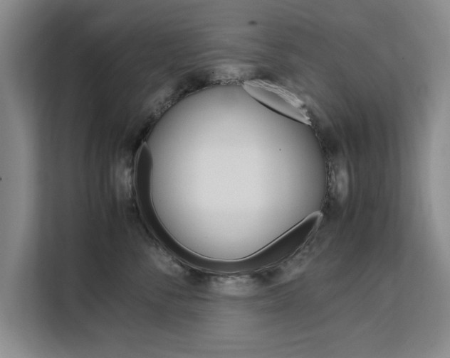 X0000111530716200907141257