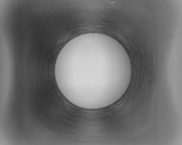 X0000111530720200907141256