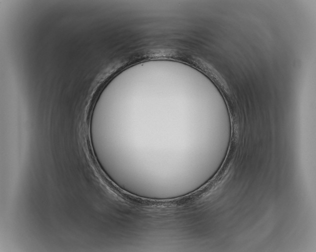 X0000111530721200907141256
