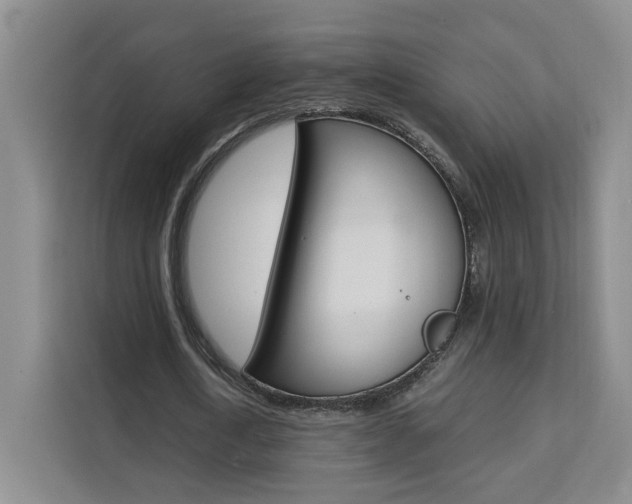 X0000111530722200907141256