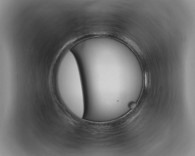 X0000111530723200907141256