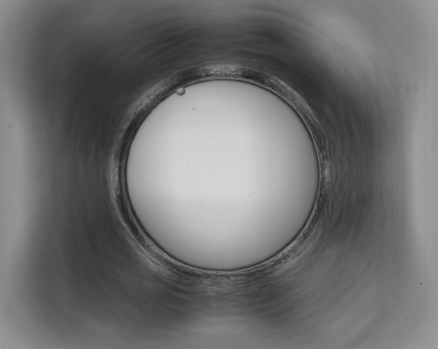 X0000111530725200907141256