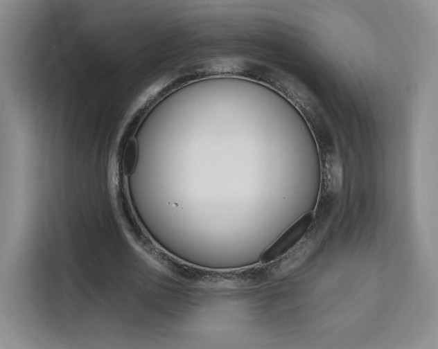 X0000111530726200907141256