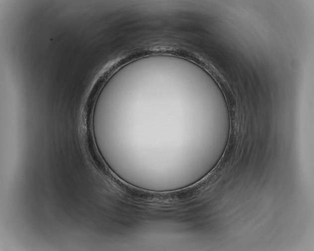 X0000111530727200907141256