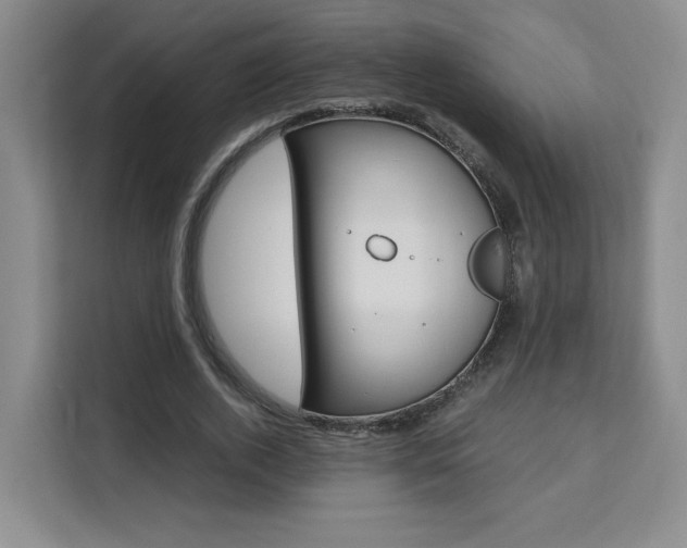 X0000111530728200907141256