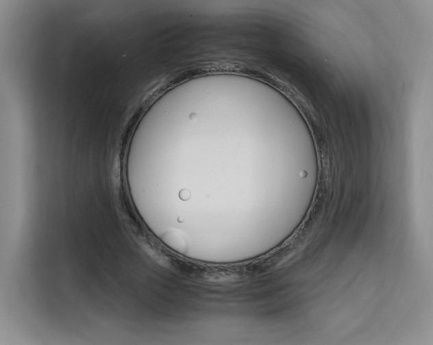 X0000111530729200907141256