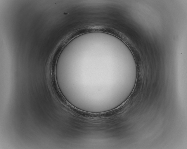 X0000111530731200907141256