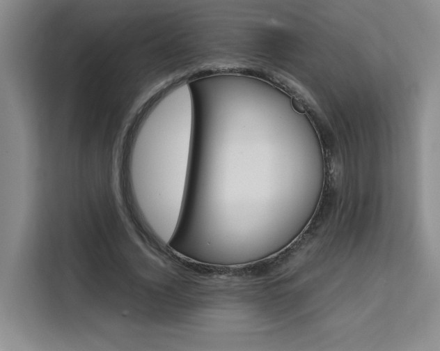 X0000111530732200907141256